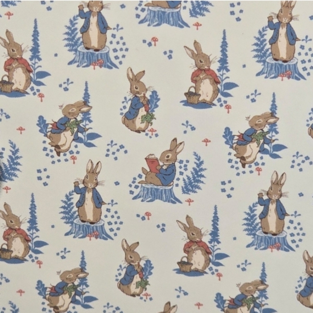 Peter Rabbit Blanket & Sheet Set 🥕 4 Piece Set - Picture 12 of 12